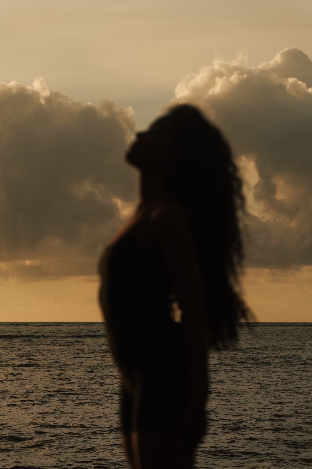 Silhouette against a sunset sky over the sea — LAILA, by Kenneth Kemp